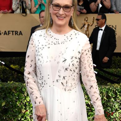 Actor Meryl Streep
