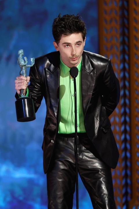 The 31st Annual Screen Actors Guild Awards